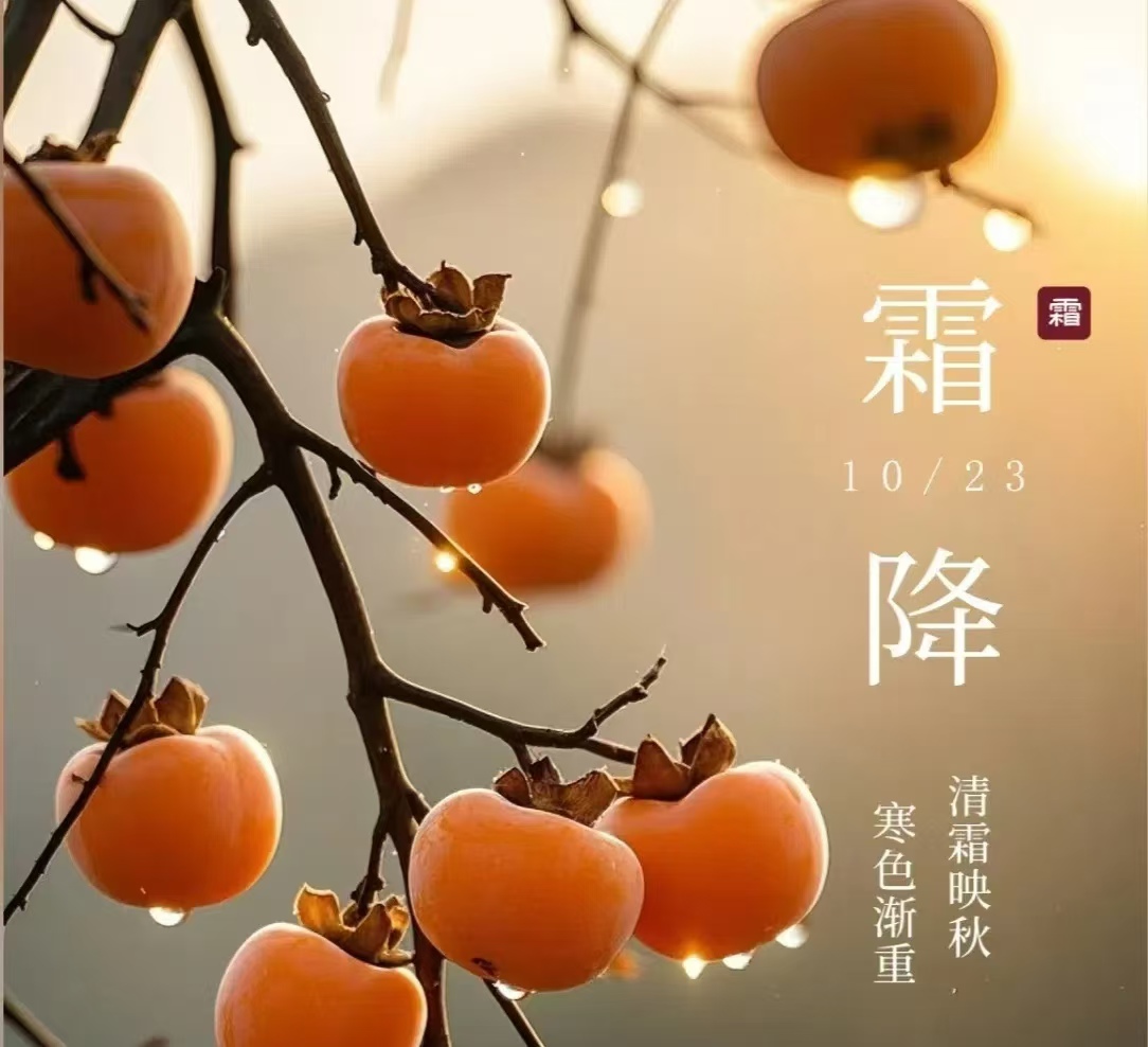 霜降||人間至此秋色盡，草木搖落露為霜